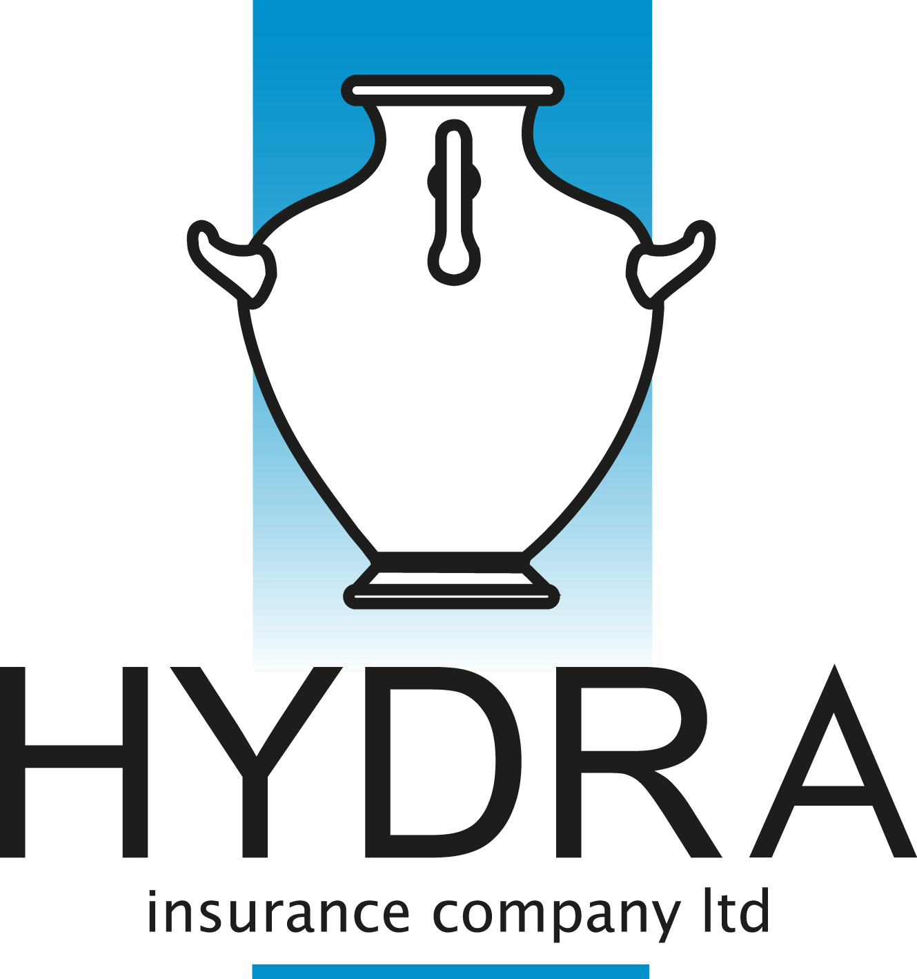 HYDRA Insurance